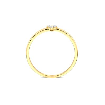 Δαχτυλίδι Λωτού από Επιχρυσωμένο Ασήμι 925 με CZ για Γυναίκες