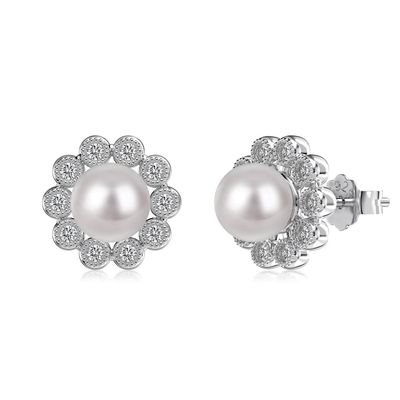 925 Sterling Silver Flower Design Earrings with Micro-Inset Zircon and 14K Gold Plated Korean Style Stud Earrings